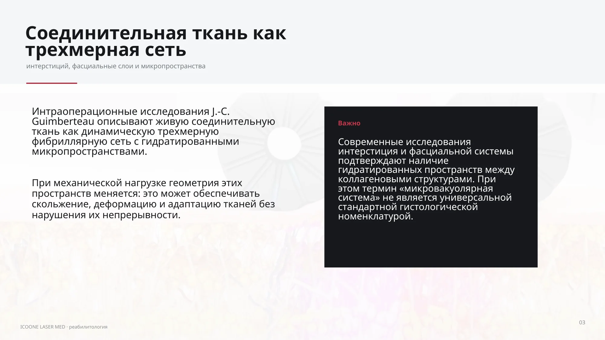 Соединительная ткань как трехмерная сеть
