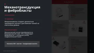 Слайд 5