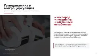 Слайд 6